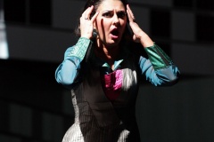 Die-Walküre-R.-Wagner-Brünnhilde-Anhaltisches-Theater-Dessau-25